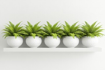 Wall Mural - Five Ferns in White Textured Pots on a Shelf