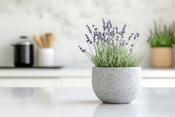 Poster - Lavender Plant in a Grey Pot on a Kitchen Counter