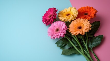 Wall Mural - Colorful gerbera daisies bouquet on pastel background.