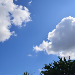 Wall Mural - Blue sky with cloud. Clearing day and Good weather in the morning.