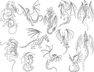 Wall Mural - outline set dragon on white background sketch