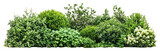 PNG Bushes and shrubs plants vegetation landscape.