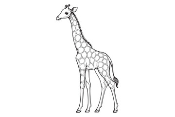  Giraffe Line drawing
