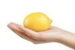 © Maryna - Bright Citrus Squeeze. Female Hand Compressing Lemon on White Background with Copy Space