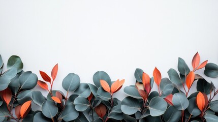 Wall Mural - Fresh Green and Orange Leaves on White Background for Nature Design