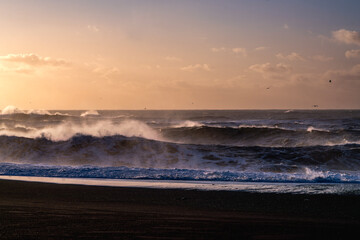 Wall Mural - black beach in Iceland rough morning sunrise pretty orange golden hour sky