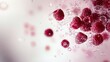 © Alice - A group of red raspberries resting atop a pink background, adorned with droplets of water