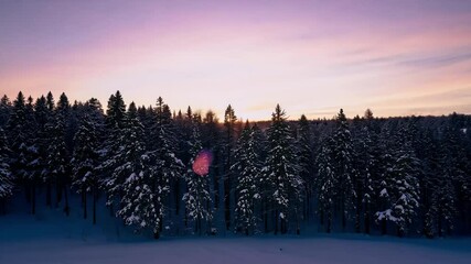 sunset period wood winter snow winter forest tree sunset wood sunrise sun shadow kitsch covered white mountain snowy freezing beautiful nature jan sunshine branch frost freeze cold christmas time