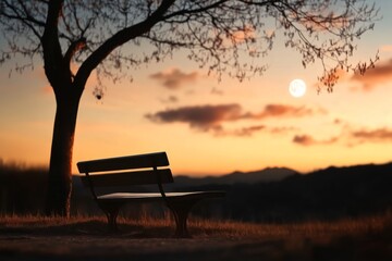 Canvas Print - Sunset view of a solitary bench beneath a tree with a large moon rising in the background