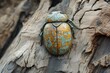 © stockphoto02 - A vibrant, jewel-toned beetle with a weathered, teal and gold carapace rests on textured bark.