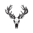 © HardWork - head of a deer skull