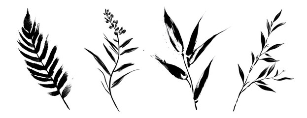 Wall Mural - png elegant botanical silhouette design on transparent background