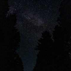 Wall Mural - night sky dotted with countless stars and the cosmic light of the Milky Way