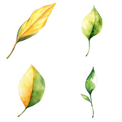 Aufkleber - Botanical art display of colorful leaves nature studio watercolor illustrations artistic environment close-up view leaf diversity