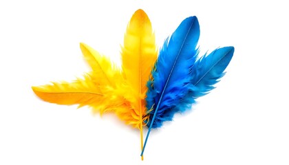 Fototapete - A striking contrast of yellow and blue feather art, displayed on a minimalist white background, highlighting the vivid colors and intricate details of the feathers