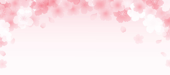 Wall Mural - spring japanese cherry blossom flower background vector. sakura floral wallpaper design of elegant c