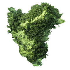 Poster - An aerial view shows a lush green island formed by dense forest and varied terrain.