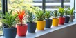 © HO - A row of colorful potted plants on a balcony, bringing greenery to an urban space.