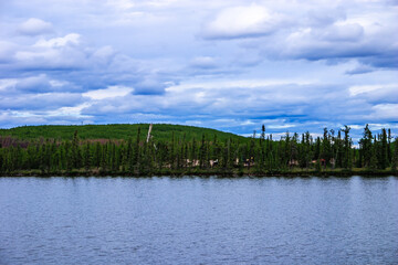 Wall Mural - A calm lake with a forest in the background