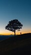 © ah.giel - A lone figure stands silhouetted against a vibrant sunset, a single tree nearby. The scene exudes peace and serenity.