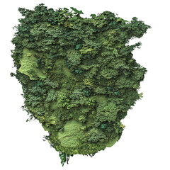 Poster - An aerial view of a verdant island or landmass, densely covered with various green plants and trees, artfully arranged.