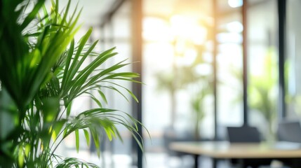 Poster - Minimalist modern office design with greenery and blur.