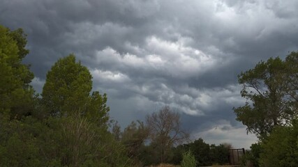Wall Mural - dark grey storm clouds gathering menacingly over green trees and bushes, building dramatic tension w