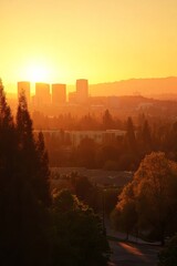 Poster - A breathtaking sunset illuminates the skyline, creating a warm glow over the urban landscape. Silhouetted trees enhance the serene atmosphere, perfect for relaxation.
