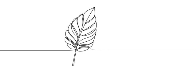 Wall Mural - single leaf line art vector illustration with transparent background editable stroke.