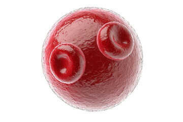Poster - Red Cell Structure in Microscopic Detail with Glossy Texture Appearance