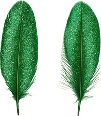 green feather 