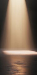 Poster - A focused spotlight shines on a dark stage, casting reflections on the surface, creating a dramatic and mysterious ambiance.