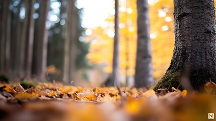 Poster - Golden Autumn Forest with Fallen Leaves and Warm Sunlight Through Trees : Generative AI
