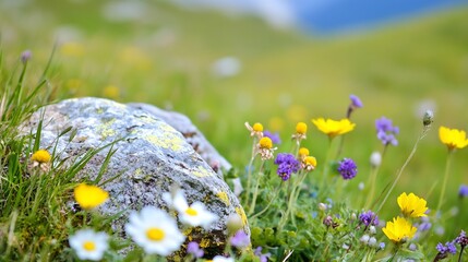 Poster - Vibrant Wildflowers Blooming in Alpine Meadow with Rocky Backdrop Exuding Natural Beauty : Generative AI