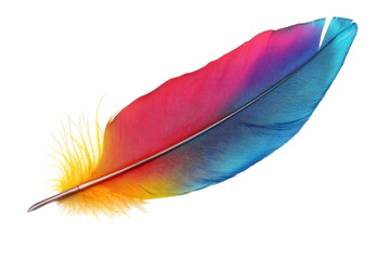 Vibrant feather showcasing rainbow colors against a white background with intricate details of its texture and structure