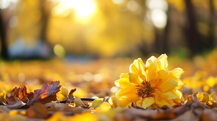 Poster - golden autumn leaves and flower in sunlit forest path : generative ai