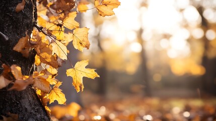 Poster - Sunlit Autumn Leaves with Brilliant Fall Colors Against Forest Background : Generative AI