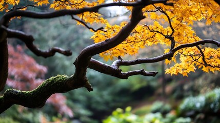 Aufkleber - Artistic Branches with Vibrant Autumn Leaves in a Forest Setting at Sunrise : Generative AI