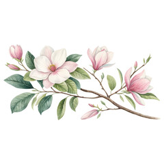 Wall Mural - A delicate magnolia branch featuring vibrant pink and white flowers with lush green leaves.