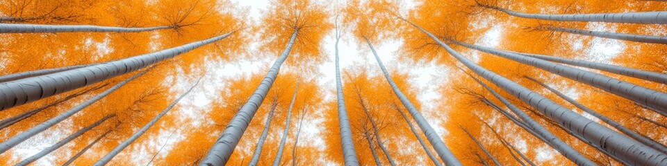 Poster - Modern Canopy Exploration Vibrant Autumnal Forest with Orange Foliage - Sustainable Ecotourism Promotion and Outdoor Lifestyle Branding for Conservation Awareness