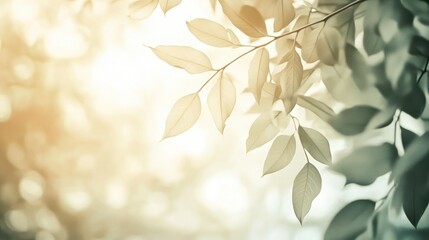 Poster - Delicate green leaves against a soft blurred background with warm light and copy space for text placement.