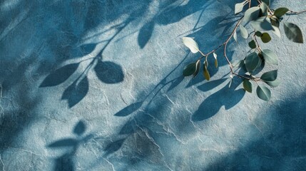 Poster - Blue textured background with shadows of eucalyptus leaves creating a natural pattern and Copy Space for text placement.