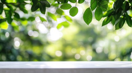 Poster - Green foliage with blurred natural background and empty white surface ideal for text placement Copy Space