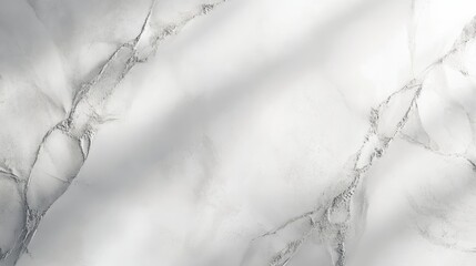 Poster - White marble texture with gray veining suitable for background designs and layouts Copy Space