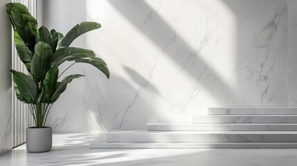 Poster - Modern interior space with marble walls, natural light, potted plant, and steps showcasing shadows and copy space for design elements.
