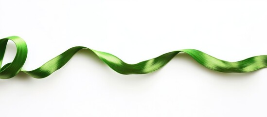 Poster - Green satin ribbon on a white background with copy space for text placement