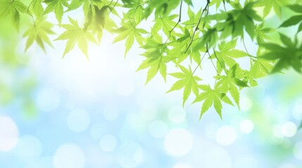Aufkleber - Green maple leaves in close-up against a blurred blue sky background on a sunny day with ample empty copy space for text