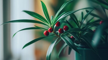 Poster - Close-up of green plant leaves with red berries in natural light with Copy Space for text placement