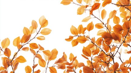 Poster - Golden Autumn Leaves and Branches Framing White Background with Empty Space for Text in Soft Warm Tones and Delicate Natural Elements