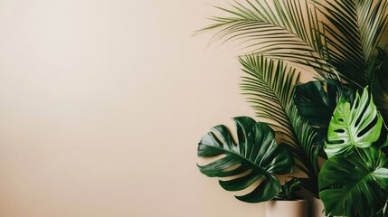 Aufkleber - Lush green tropical foliage featuring palm leaves and Monstera in minimalistic indoor decor with beige wall background and empty copy space for text